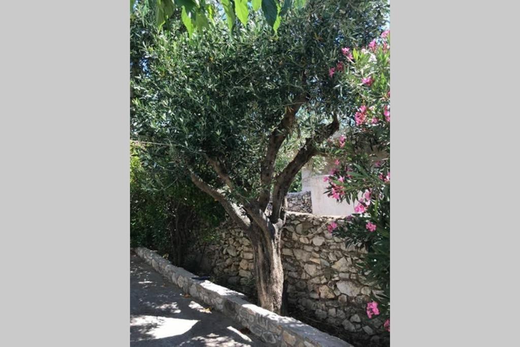Traditional Stone House In Eastern Mani Flomochori Extérieur photo